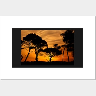 "African" sunset @ Kaiafas beach Posters and Art
